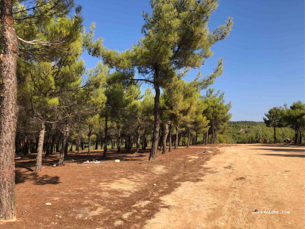 (27000)  - Unnamed Road — foto 3