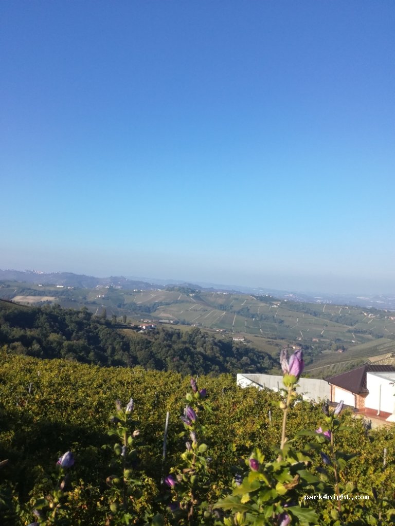 (12050) Treiso - Strada Provinciale 138 — foto 3