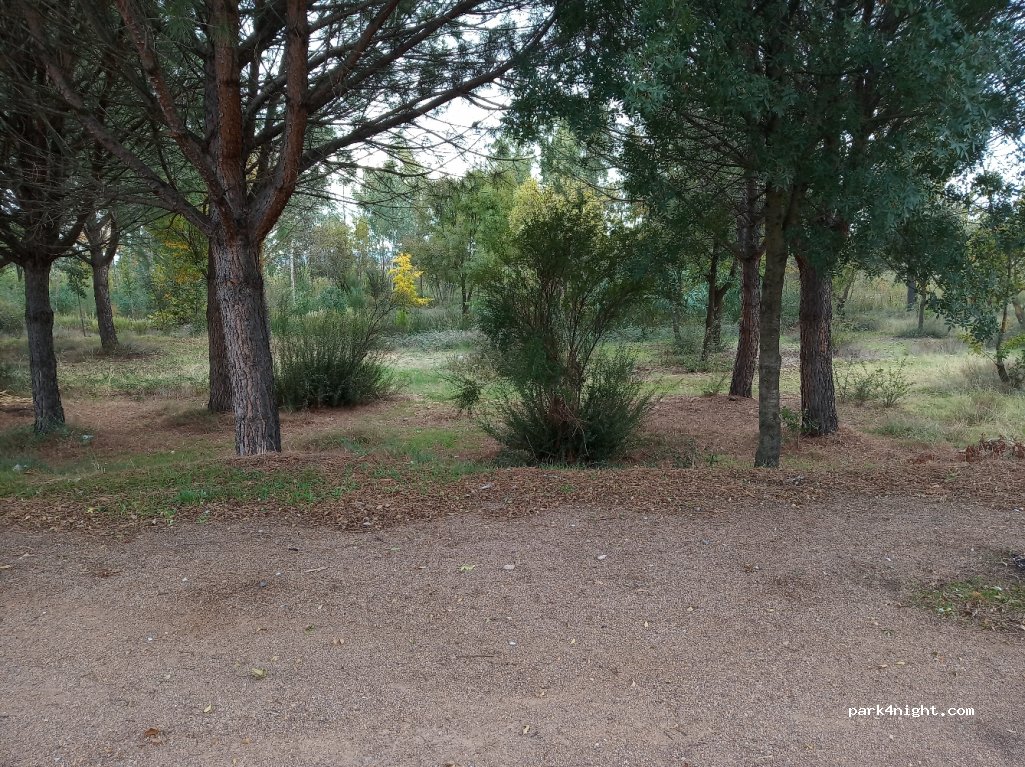 (13114) El Robledo - 44 Calle Núñez de Balboa — foto