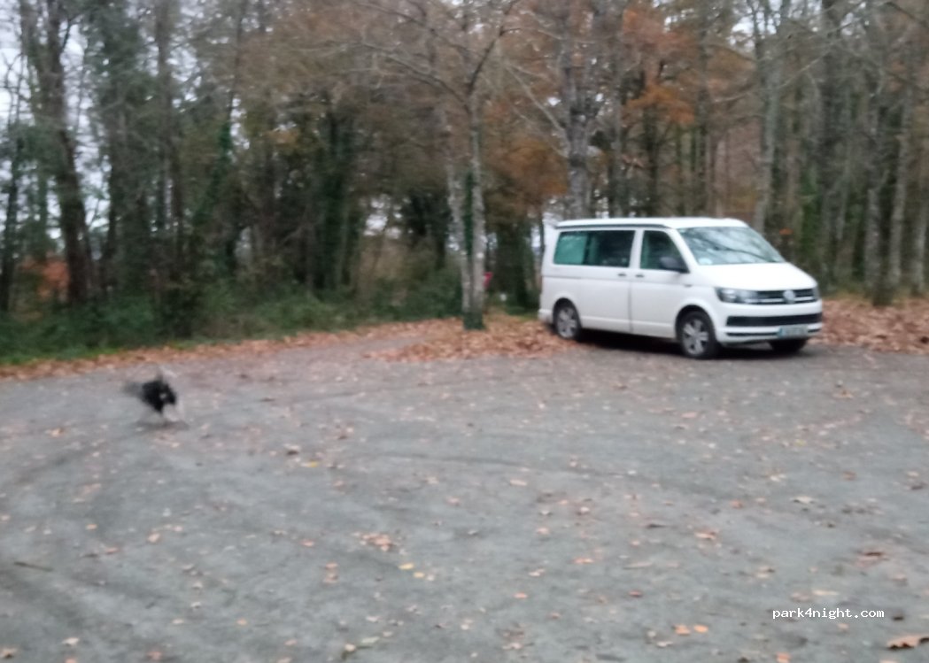 (35210) Dompierre-du-Chemin - Bel Orient Saut Roland — foto
