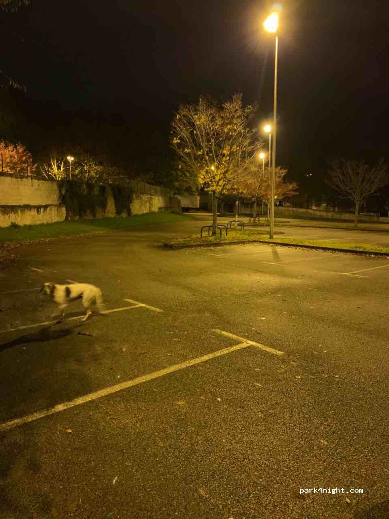 (87000) Limoges - 9 Avenue des Bénédictins — foto