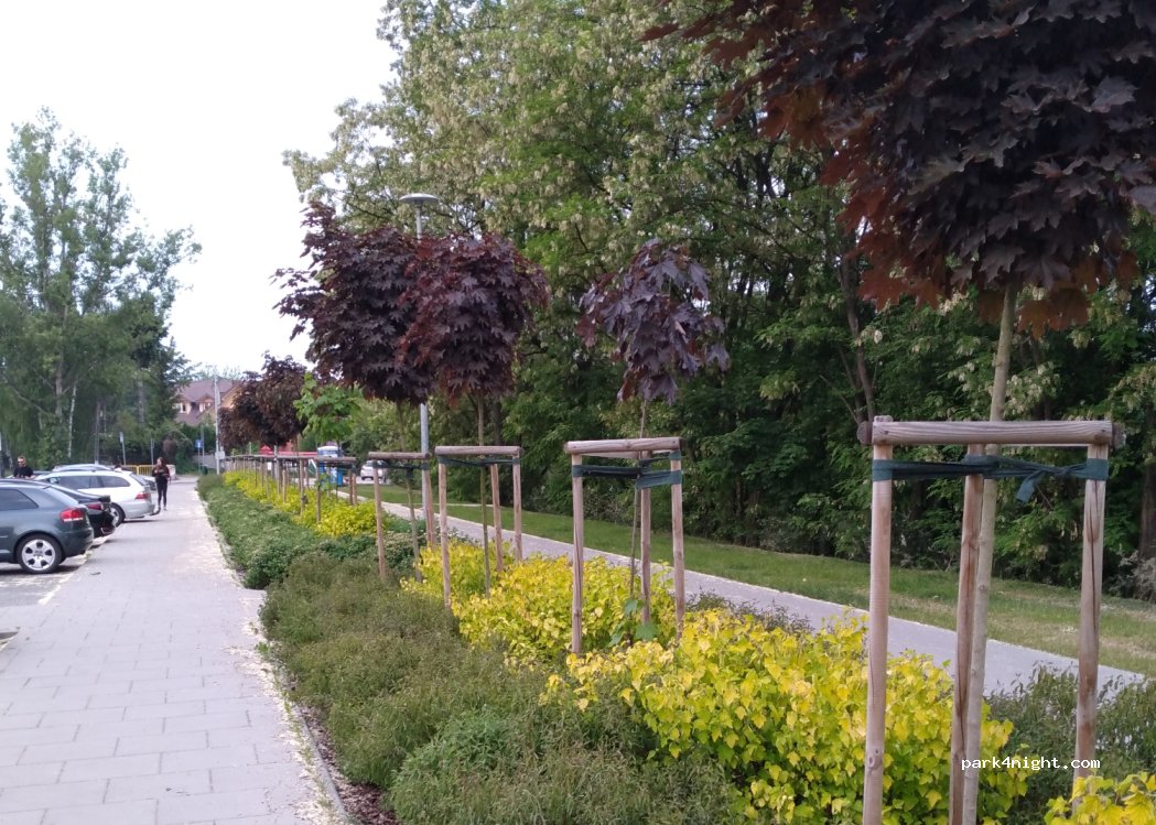 (05-220) Kobyłka - 2 Spacerowa — foto 3