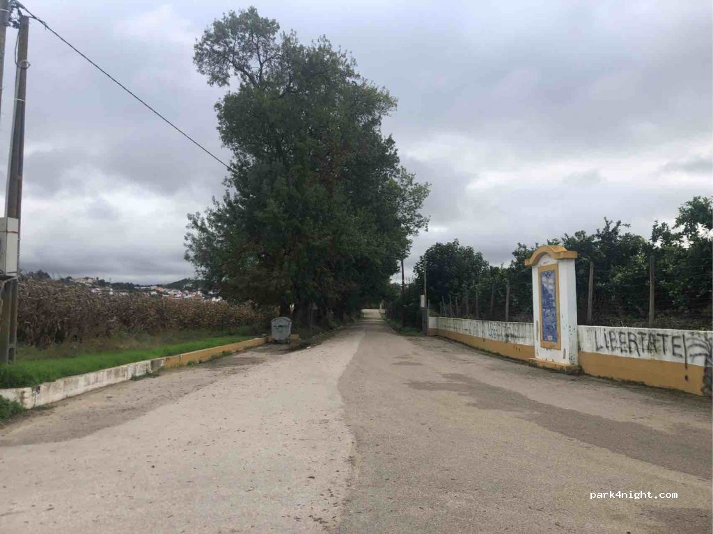 (2140) Chamusca - Avenida Dr. João Isidro dos Reis — foto 2