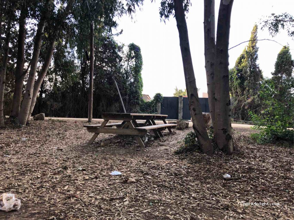 (11370) Los Barrios - CA-9209 — foto