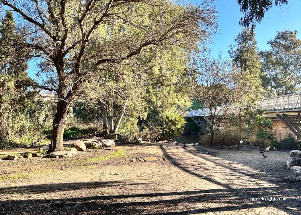 (11370) Los Barrios - CA-9209 — foto 3