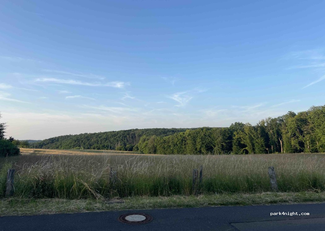 (56593) Krunkel - 4 Auf der Burg — foto 5