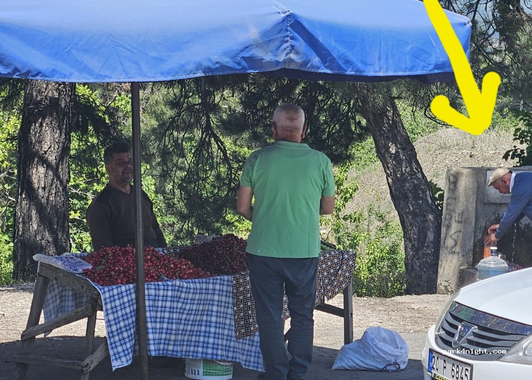 (20160) Cankurtaran - Denizli Muğla Yolu — foto 2