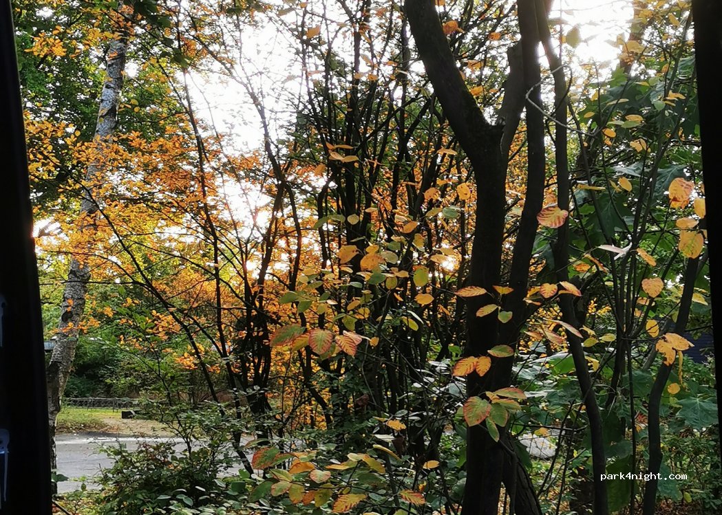(29640) Schneverdingen - 1 Im Osterwald — foto 3