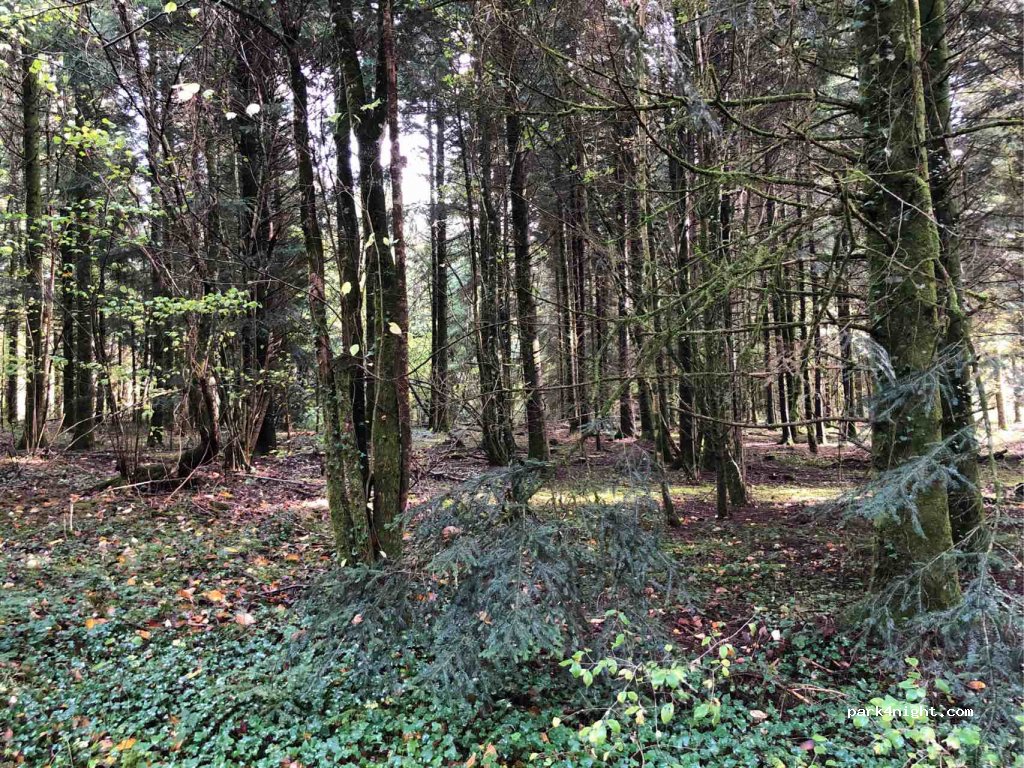 (25360) Adam-lès-Passavant - Unnamed Road — foto 3