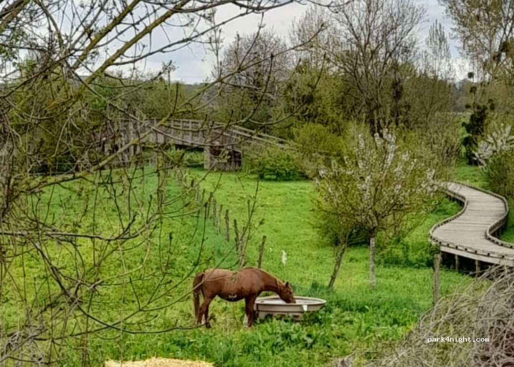 (77111) Soignolles-en-Brie - 8T Rue de Champeaux — foto 4