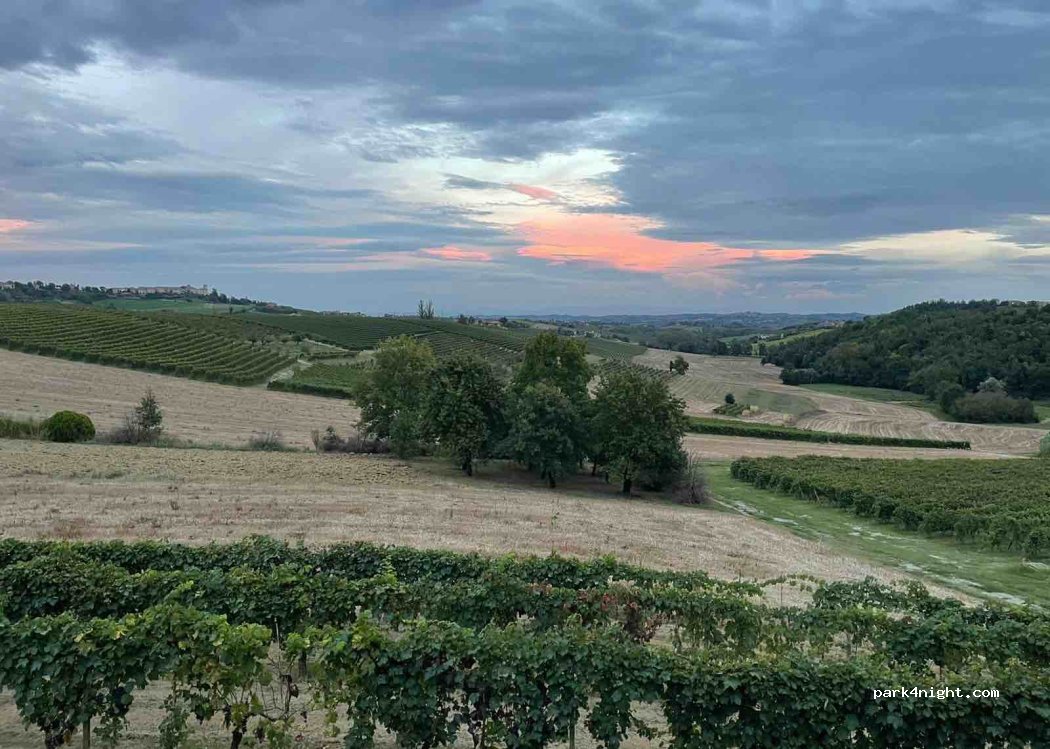 (15030) Sala Monferrato - 9 Via Cà de Franchi — foto 4