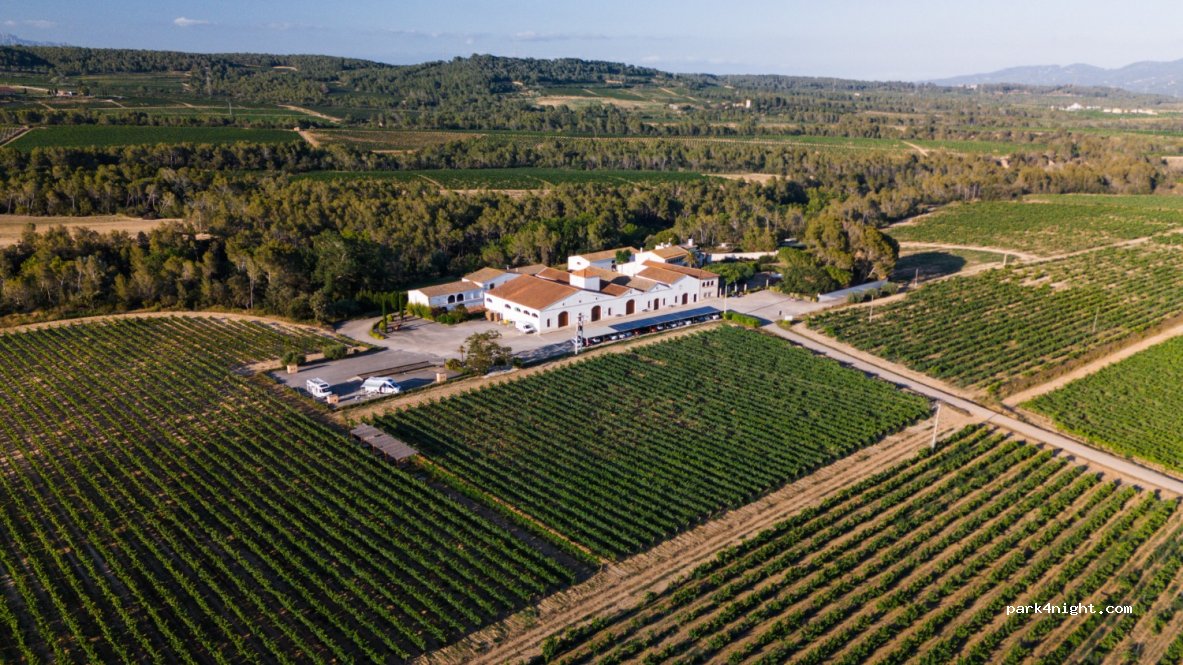 Nadal Winery — foto