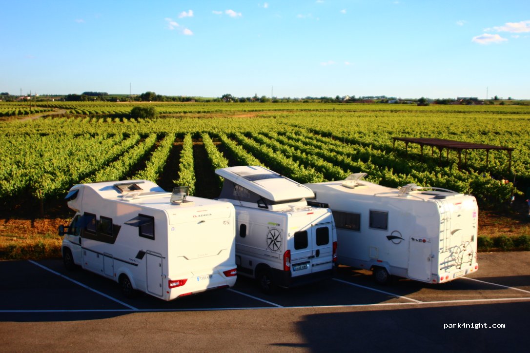 Nadal Winery — foto 2