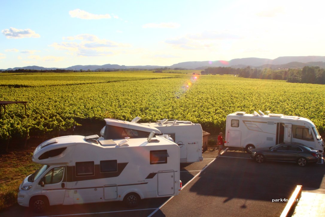 Nadal Winery — foto 3