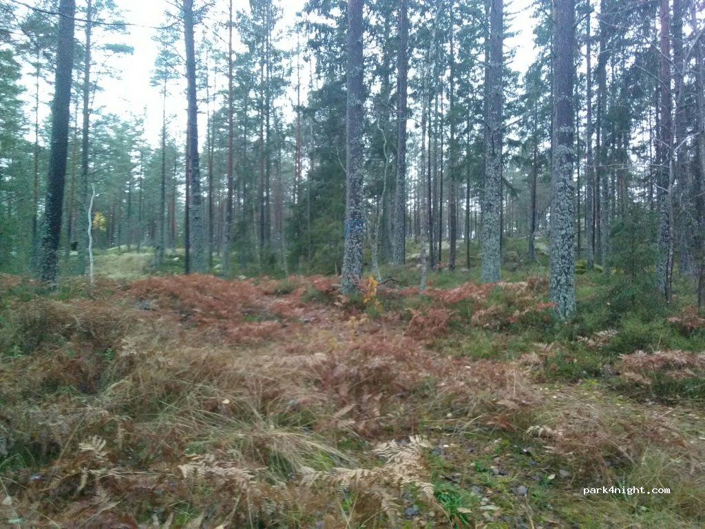 (618 95) Stavsjö - Stavsjövägen — foto 3