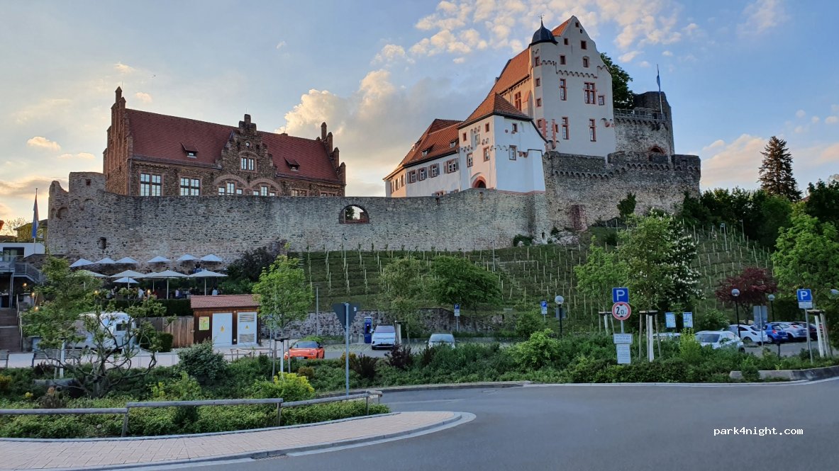 (63755) Alzenau - 3 Eichwald — foto 3