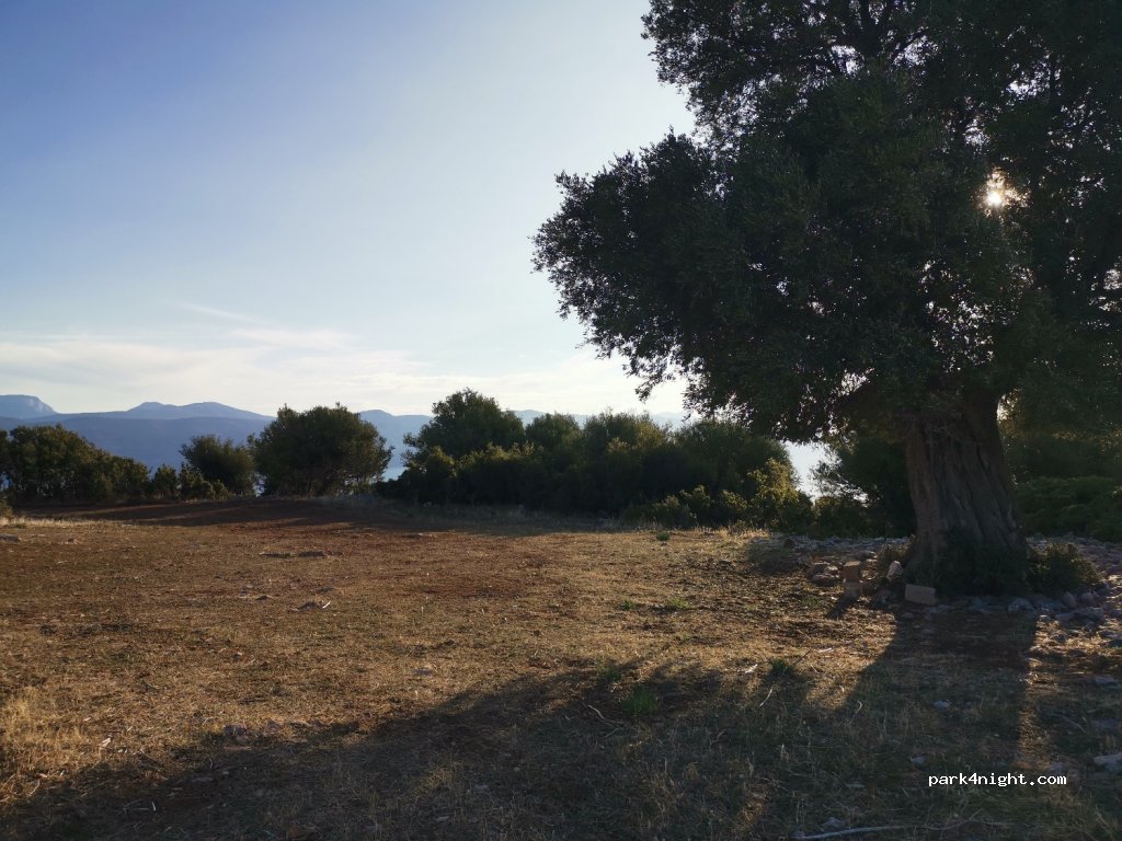 (330 52) Galaxidi - Unnamed Road — foto 3