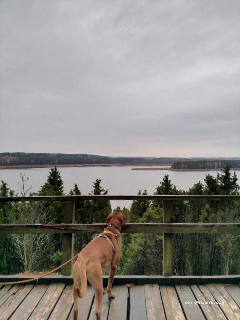 (53194) Kaunas - Arlaviškių Pažintinis takas — foto 4