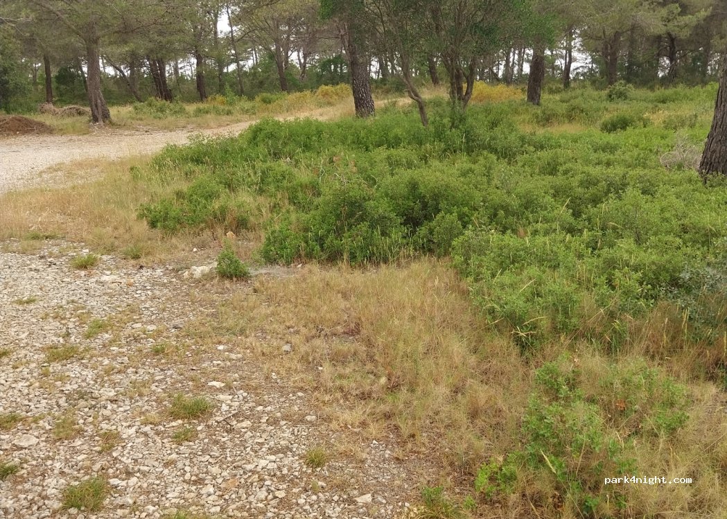 (83330) Le Castellet - Route des Garrigues — foto 4