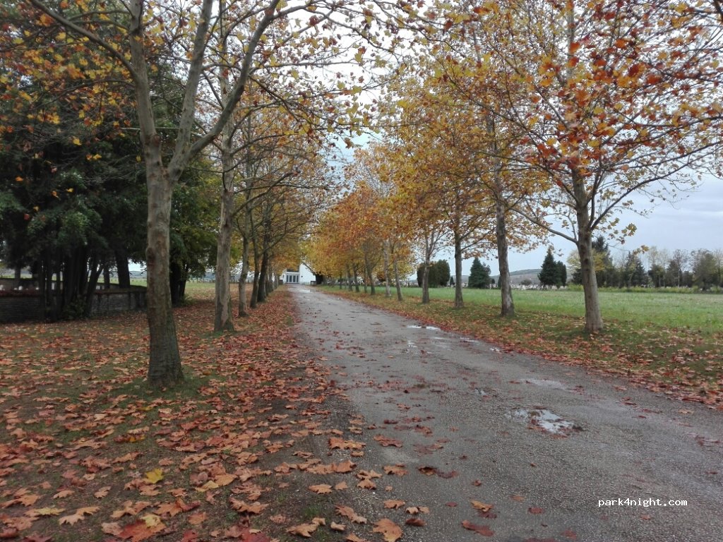 (7815) Harkány - — foto 3