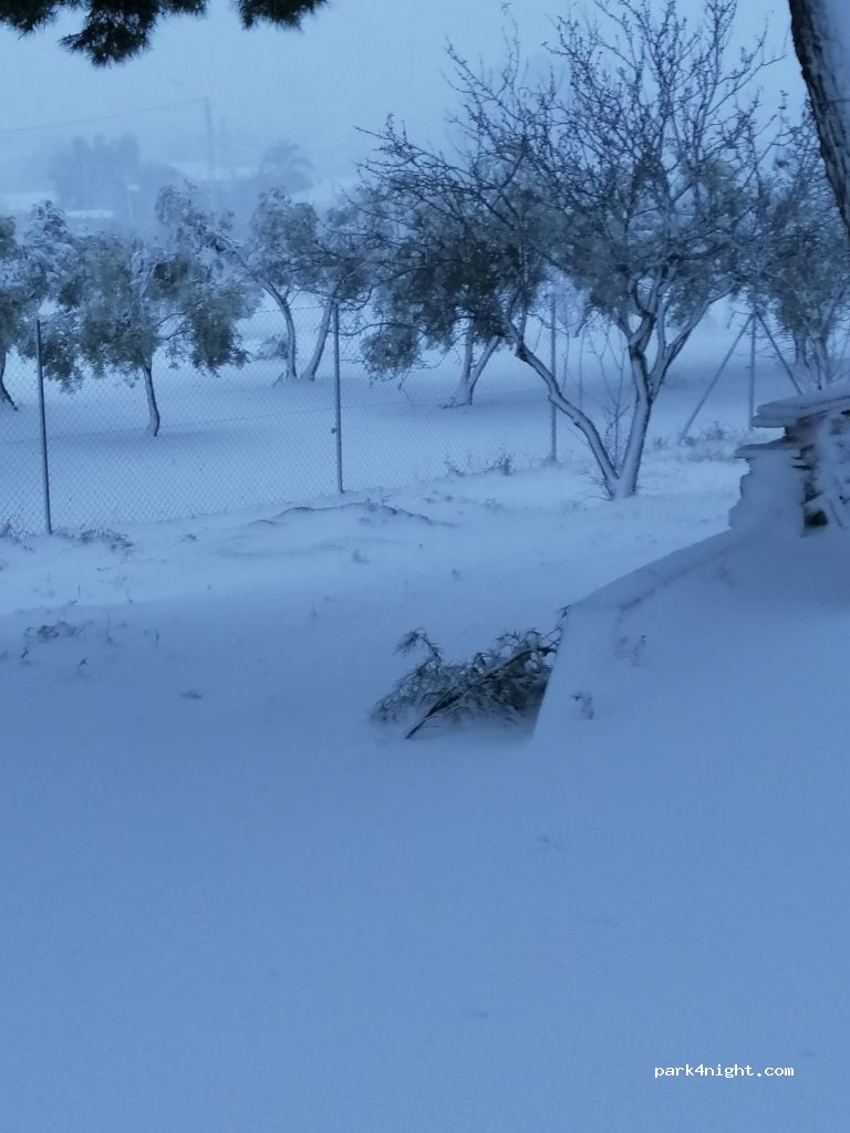 LACAVA — foto 3