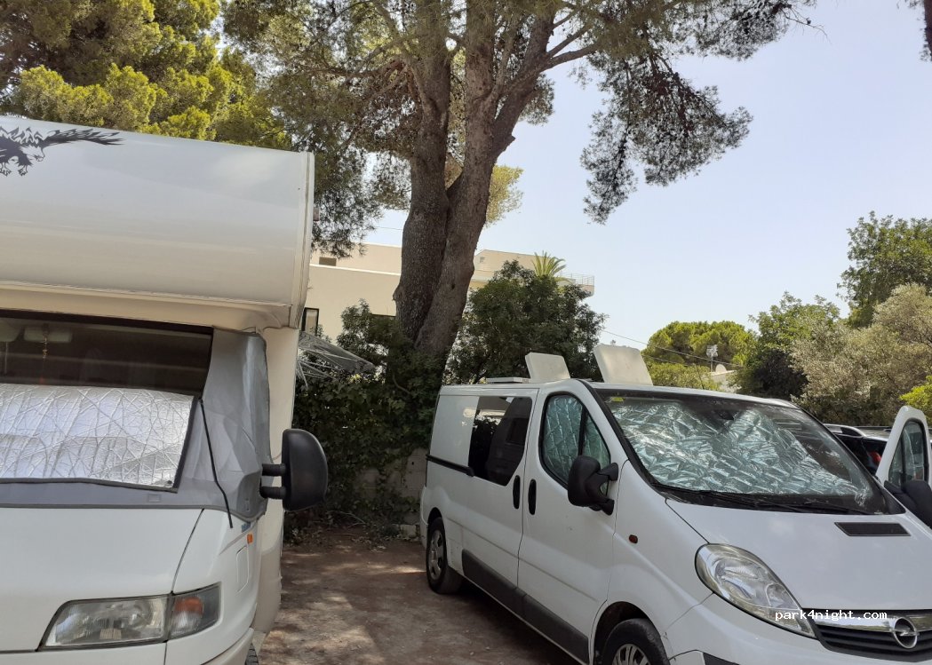 (07589) Son Moll - 5 Avenida Mediterrani — foto
