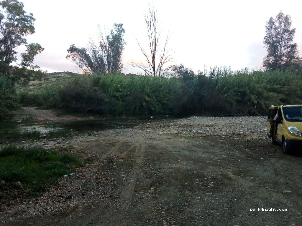 (29108) Guaro - 277 Diseminado Diseminados — foto 2