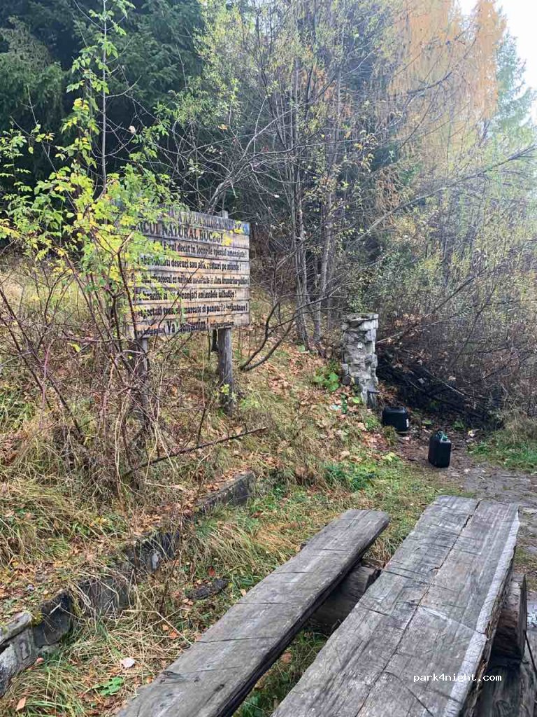 () Sinaia - DC134 — foto