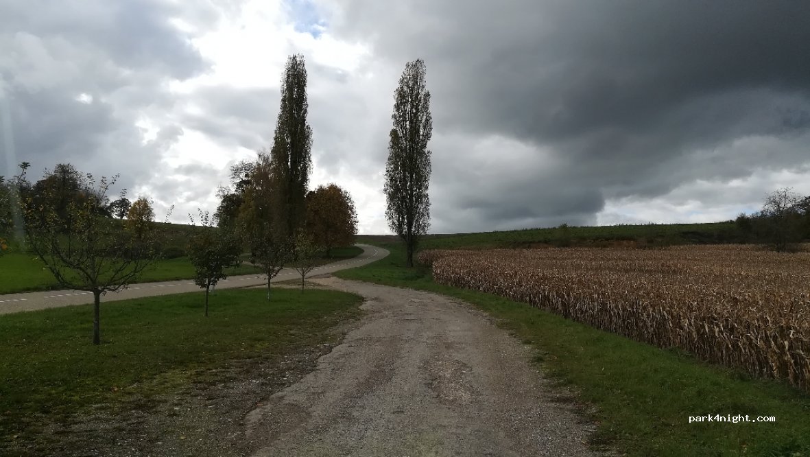 (68480) Winkel - D41 — foto