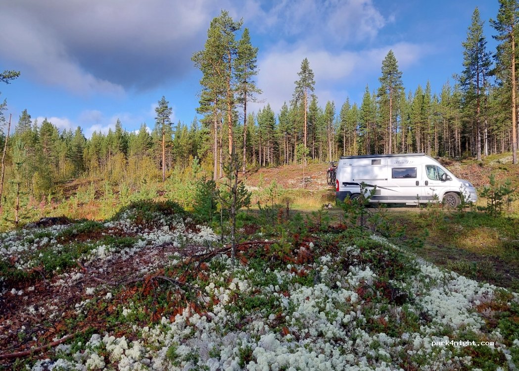 (2683) Lom - Riddersprangvegen — foto 2