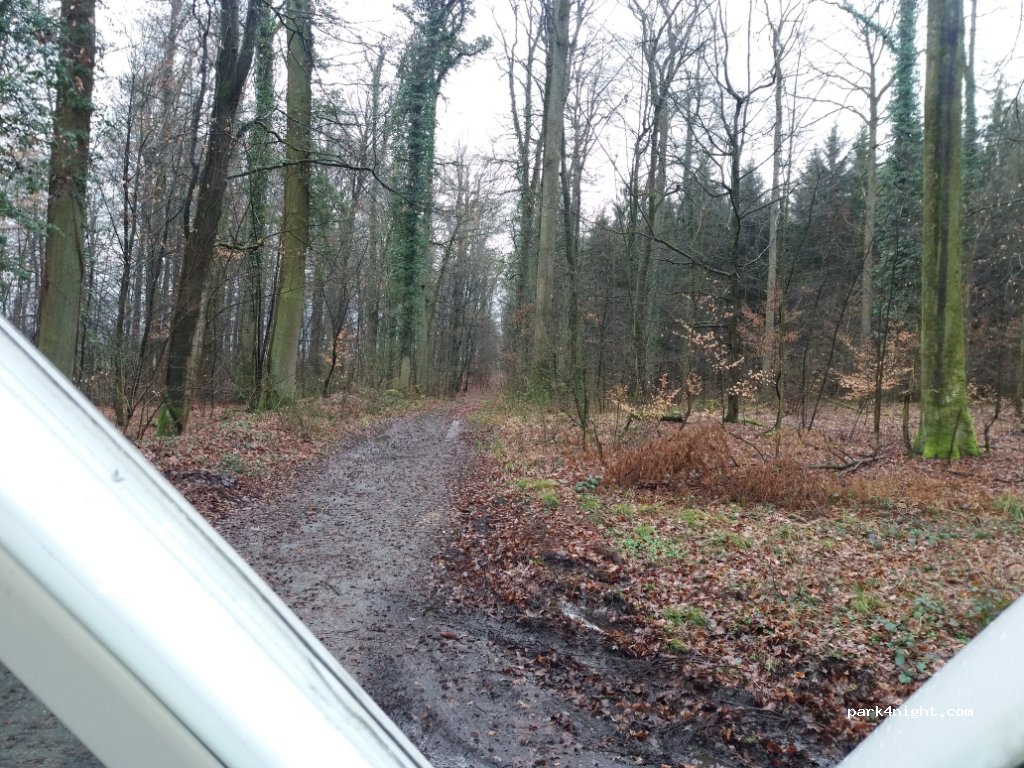 () Bad Wimpfen - — foto