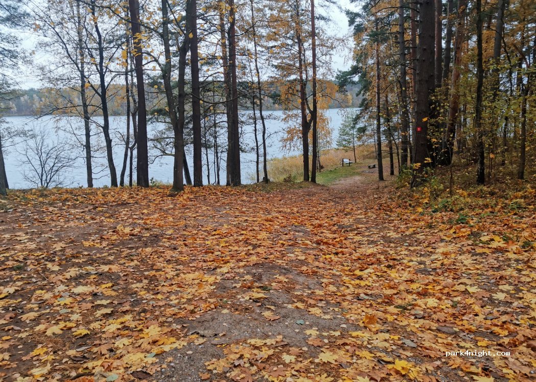 (33221) Giraičiai - Unnamed Road — foto 4