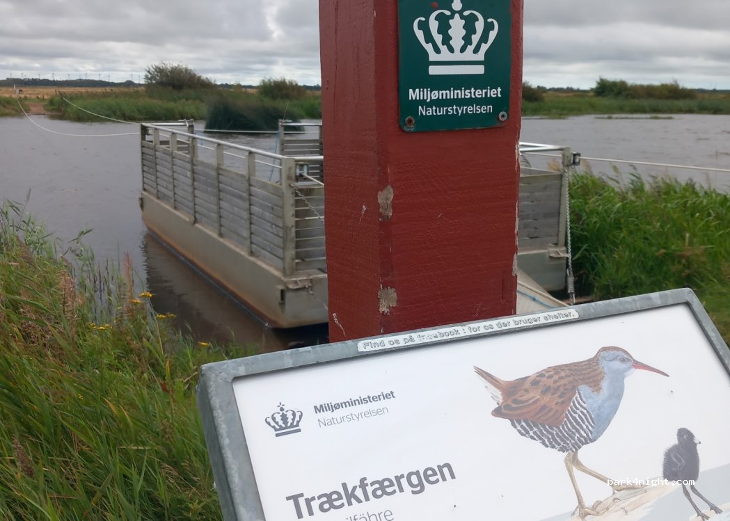 (6900) Skjern - 11 Langkærvej — foto 3