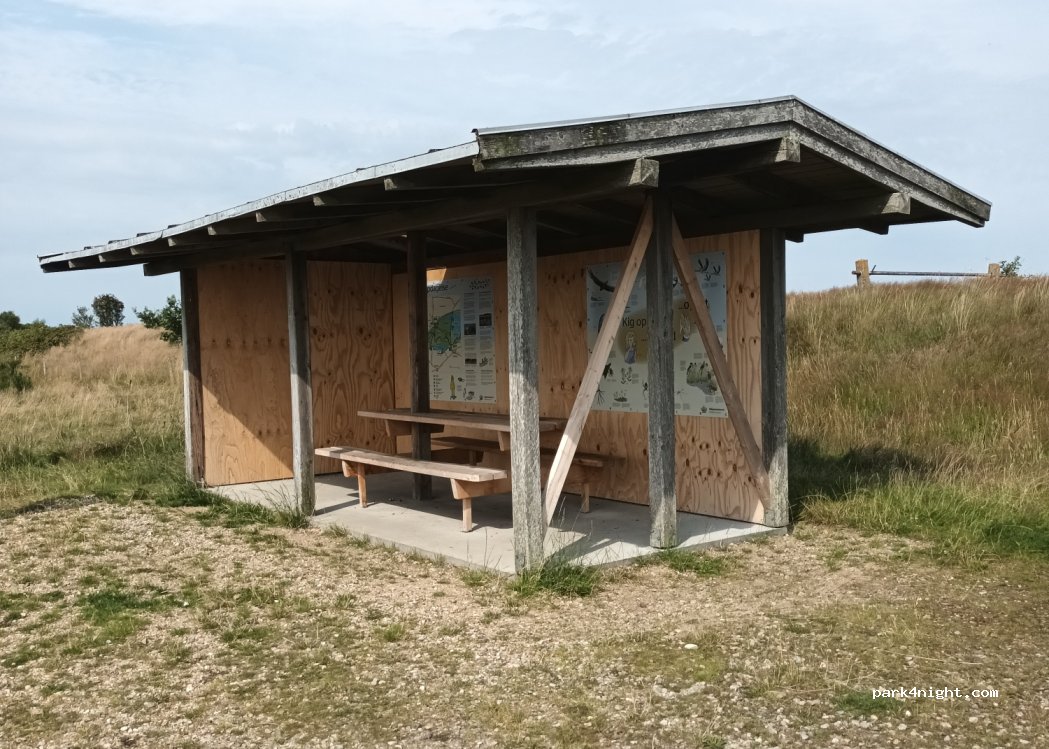 (6900) Skjern - 11 Langkærvej — foto 4