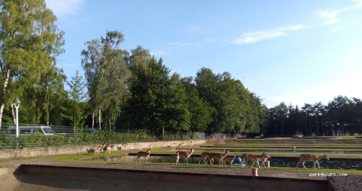 Camping am Forellenhof Borken — foto 2