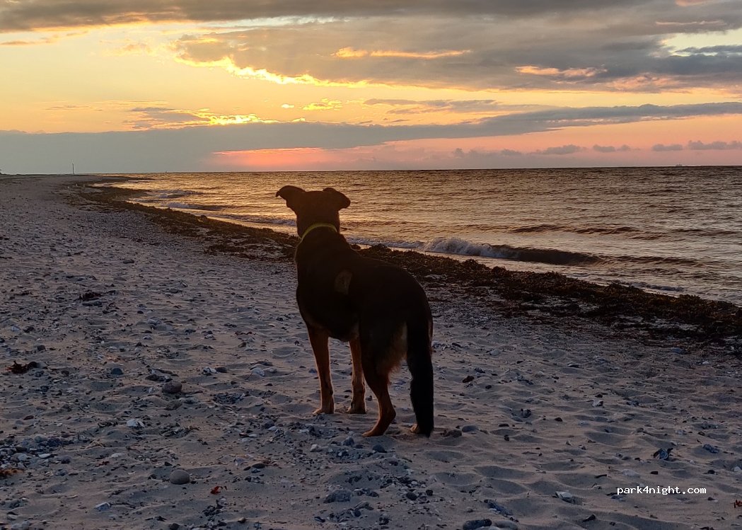 Camping on the dike — foto 4