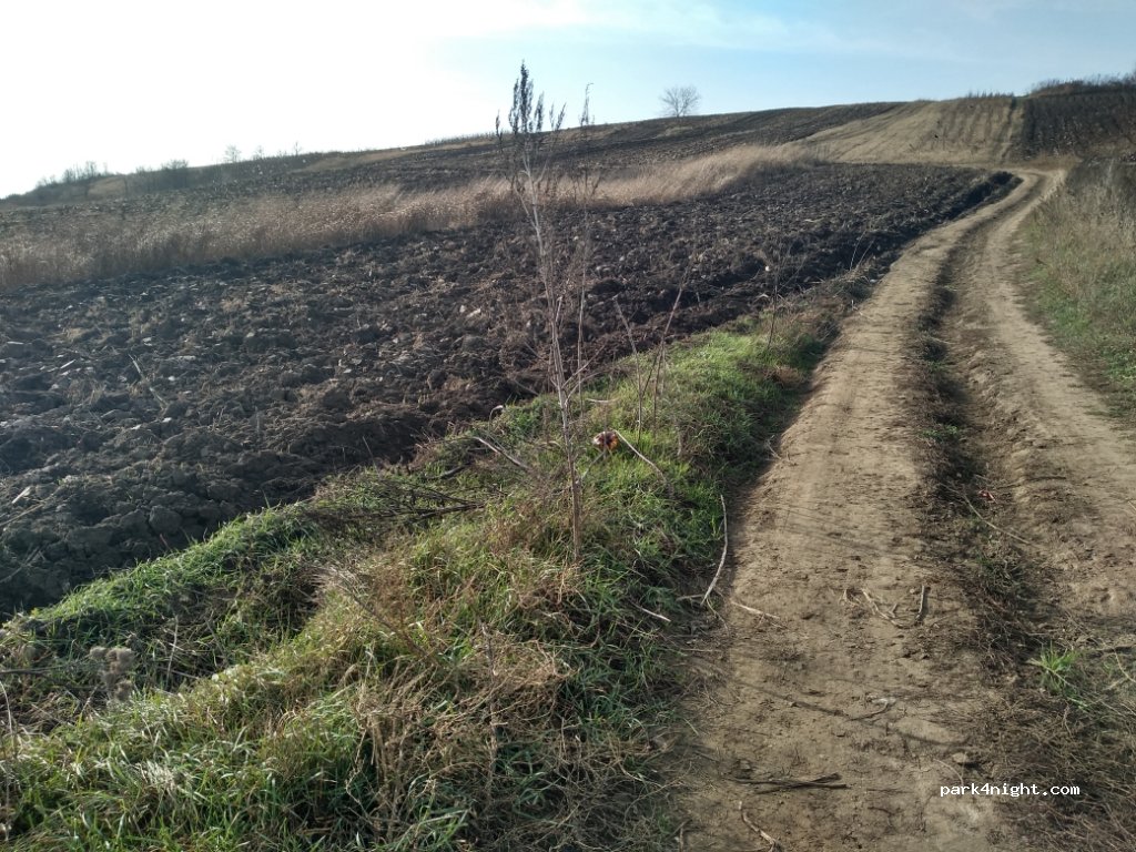 (737479) Șerbotești - Unnamed Road — foto 2