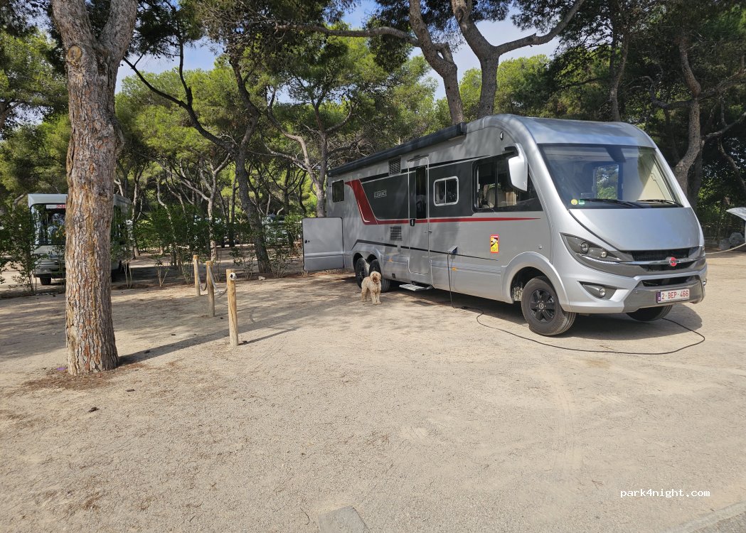 HolaCamp — foto 4