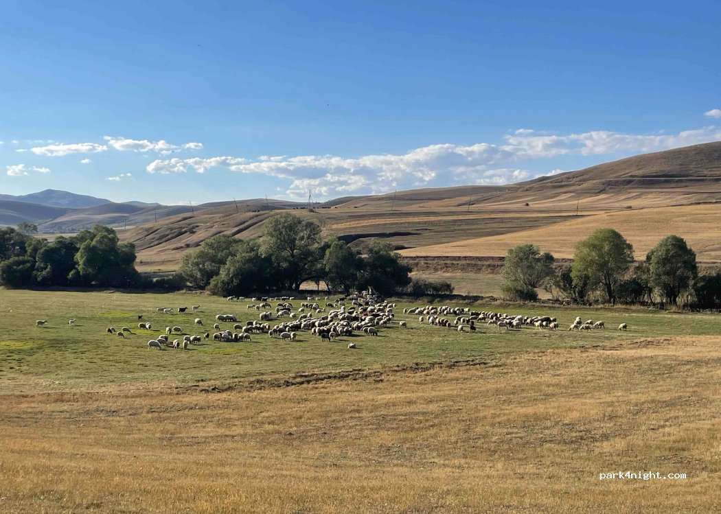 (2804) Torosgyugh - Unnamed Road — foto 2