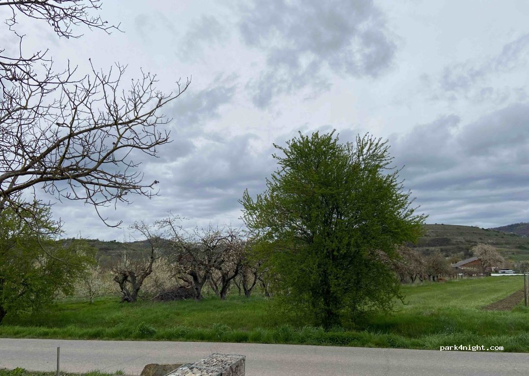 Weingut Schweizer — foto 2