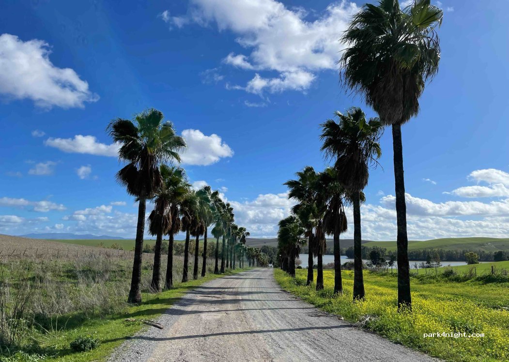 (41710) Utrera - Unnamed Road — foto 4