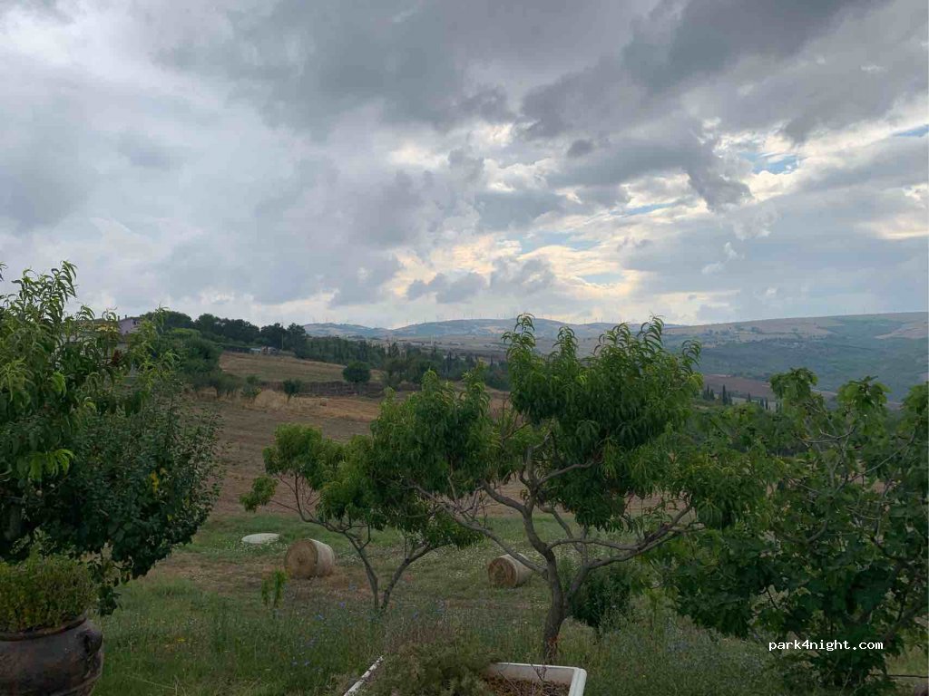 Il tratturo — foto 3