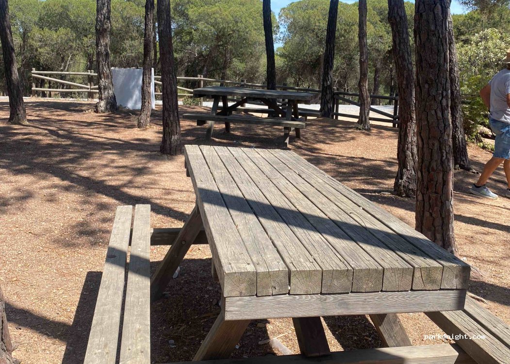 (21400) Ayamonte - 70 Diseminado Fotea — foto 4