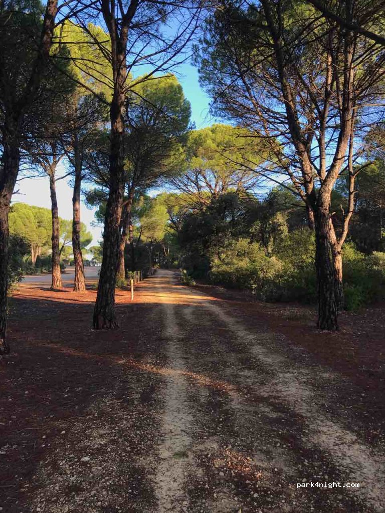 (02110) La Gineta - Cañada Real del Villar de Pozo Rubio — foto 2