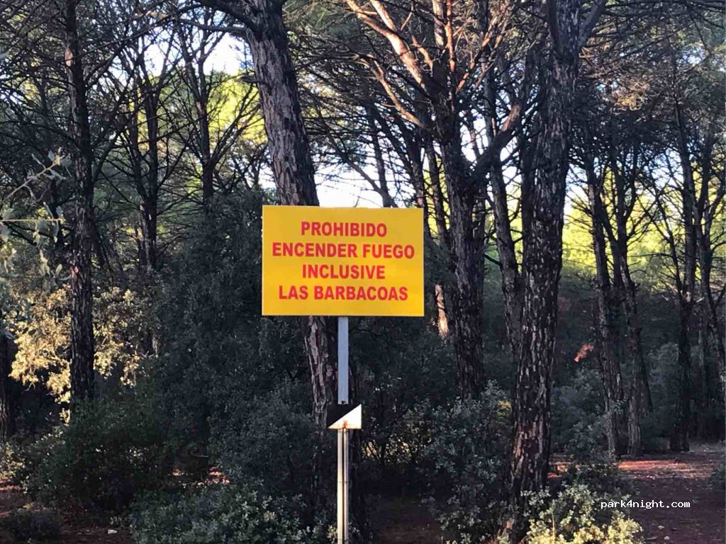 (02110) La Gineta - Cañada Real del Villar de Pozo Rubio — foto 3
