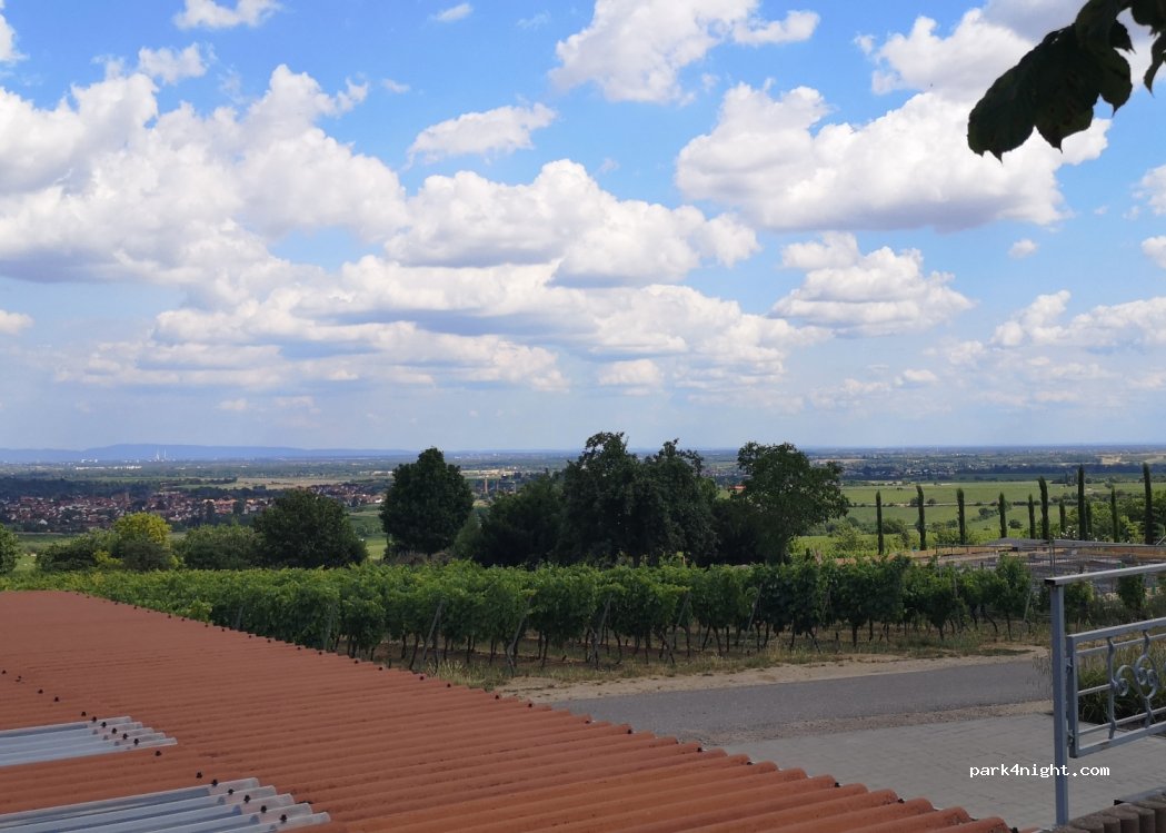 (67273) Herxheim am Berg - 80 Weinstraße — foto 3