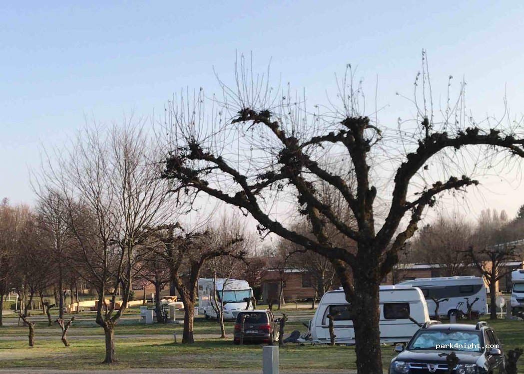Wirthshof GmbH campsite — foto 3