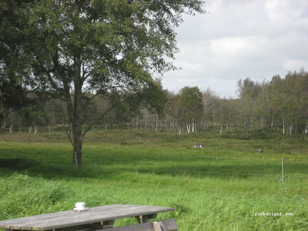 (6270) Tønder - 133 Ribe Landevej — foto 2