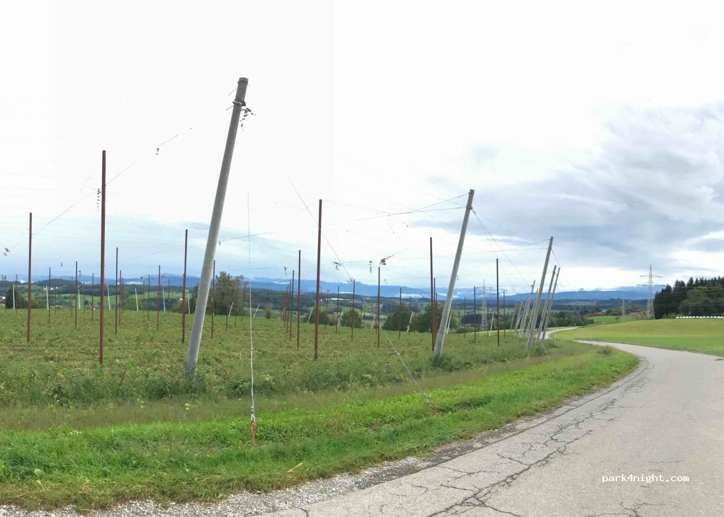 (88287) Grünkraut - 4 Schregsberg — foto 4