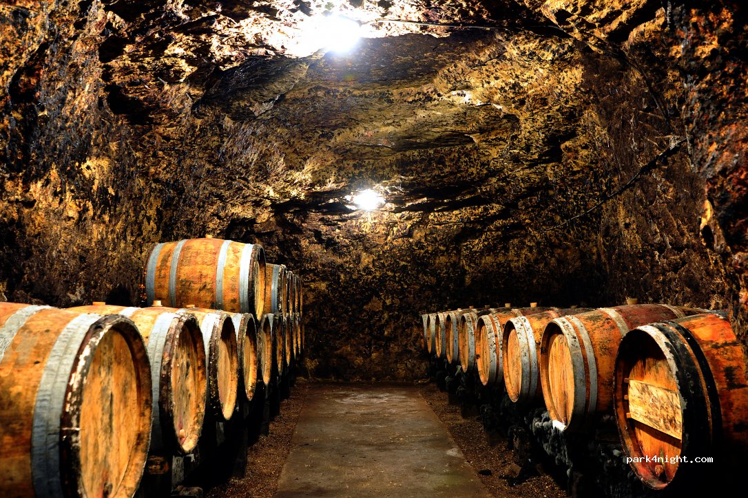 Domaine de la Dozonnerie — foto 2